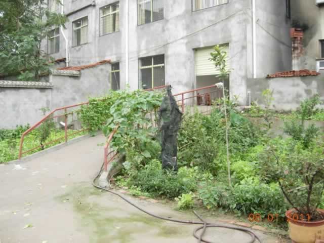 Ժ羰