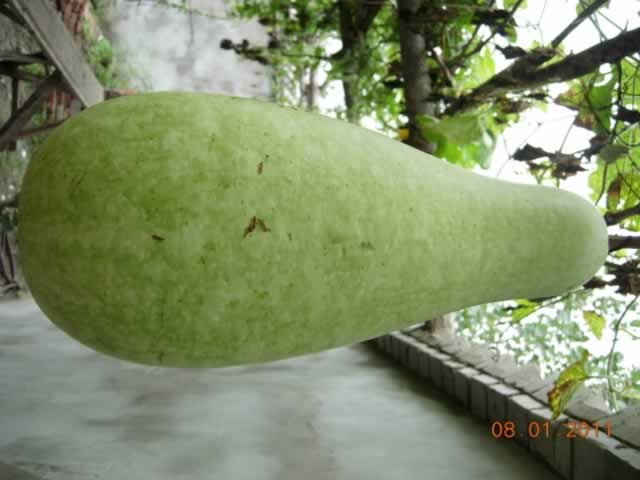 Ժ羰